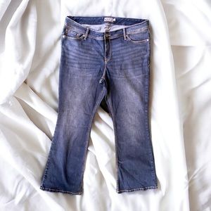 Torrid Luxe slim bootcut jeans size 20